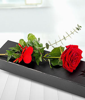 Single Rose Box