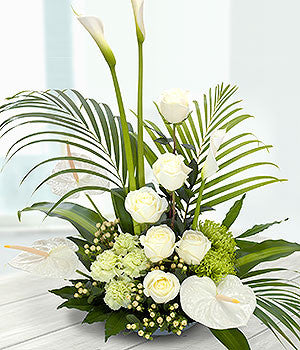 Container Arrangement