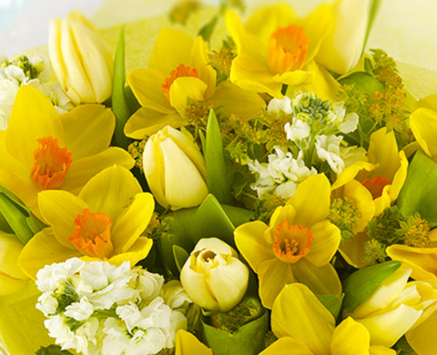 Mother's day